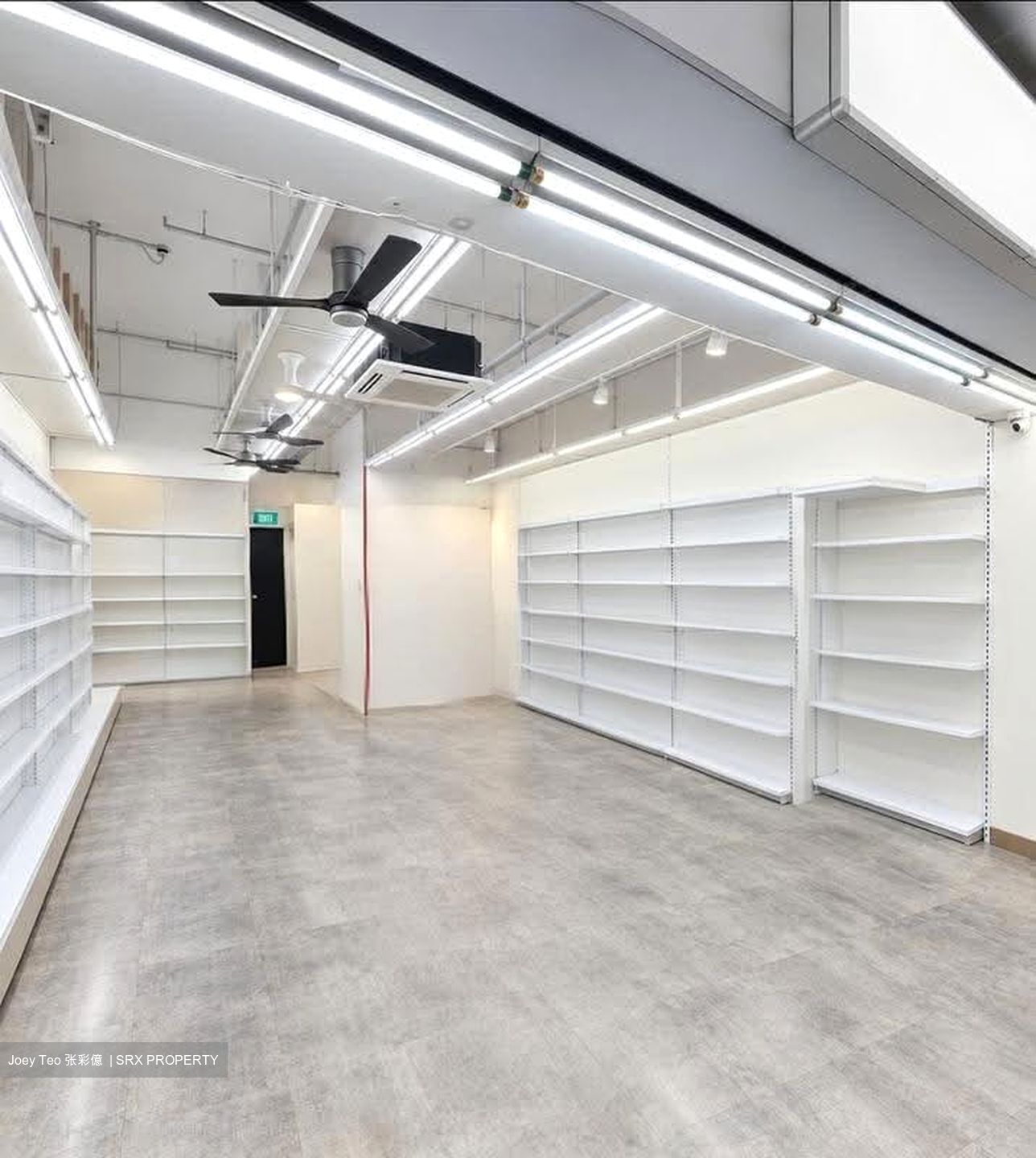 Alkaff Lakeview (D13), Shop House #634985741